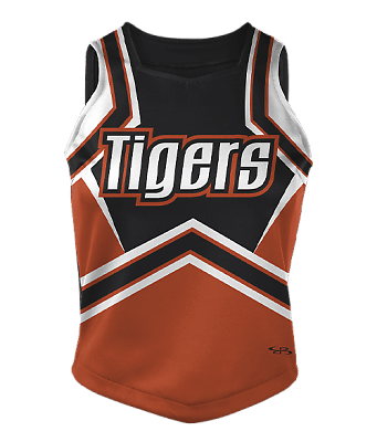 Custom Cheerleading Uniform Design #2