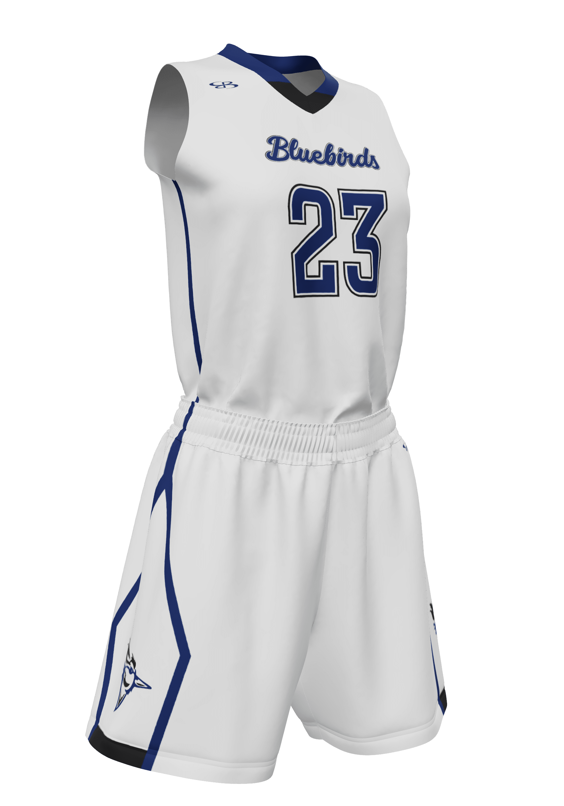 V-Neck Bluebirds Jersey and Shorts